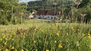Una casa con fachada blanca y techo marrón, rodeada por un campo verde exuberante con flores amarillas y pastos altos.