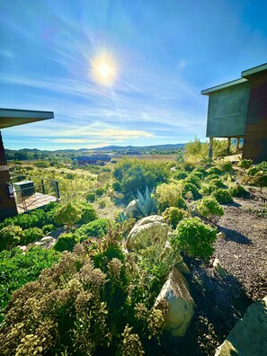 Interior - Por Siempre Valle (Valle de Guadalupe)