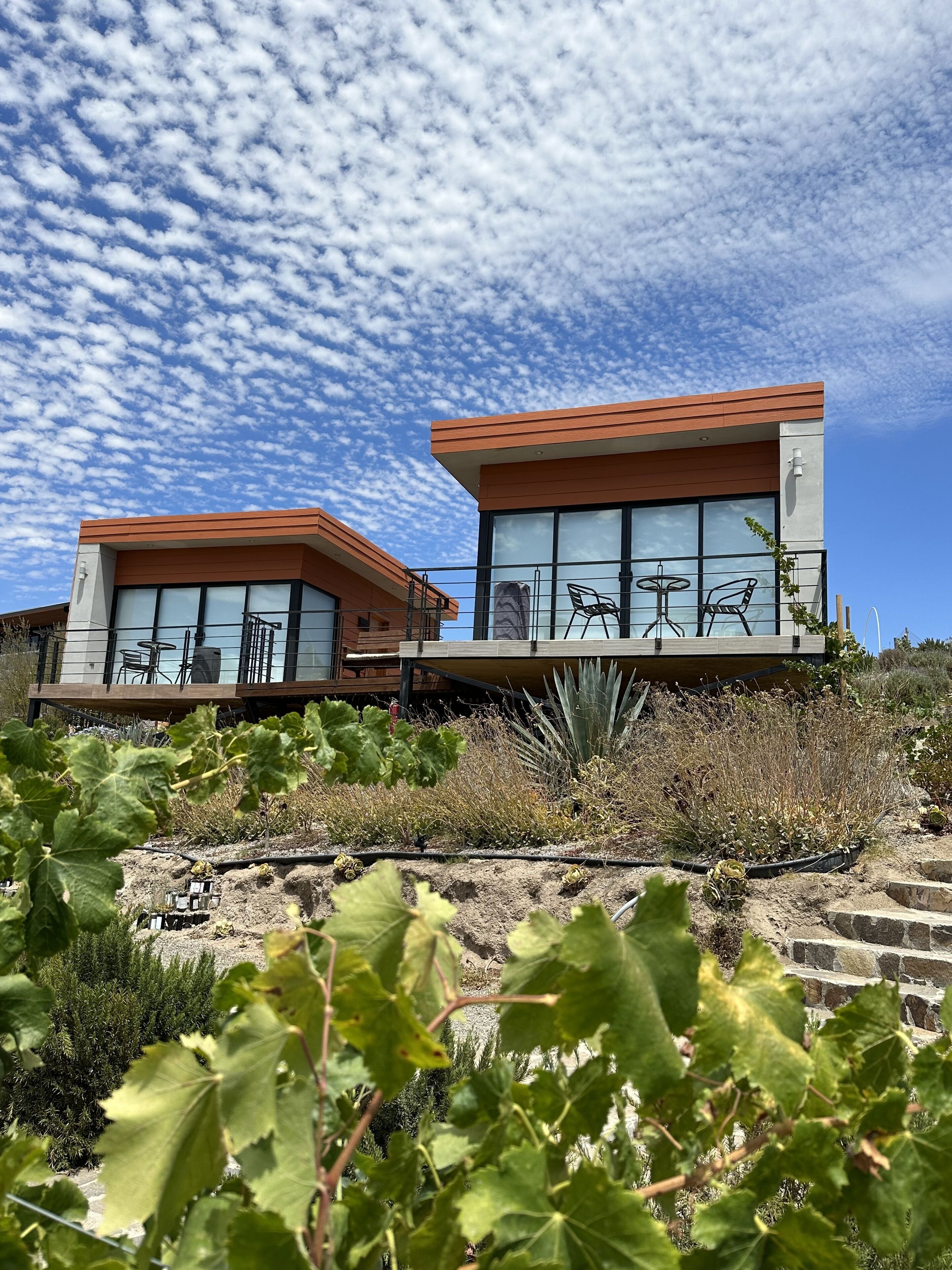 Une maison moderne à deux étages, dotée de grandes fenêtres et d’un toit plat, entourée d’un jardin où poussent différentes espèces de plantes, le tout sous un ciel bleu azur.