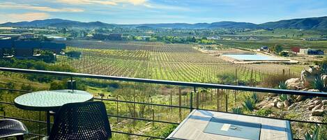 A terrace with a table and chairs, overlooking a vineyard and distant hills.