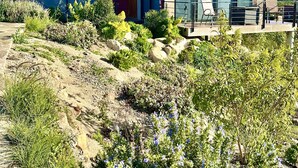 Una casa moderna con amplios ventanales, un patio con mobiliario exterior y un jardín con diversas plantas y flores.