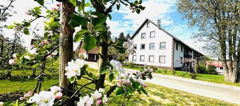 Appartement Ellenweiler pour 15 personnes avec Wi-Fi, terrasse et jardin