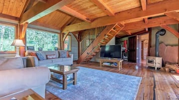 Smart TV, lareira, livros, escritórios