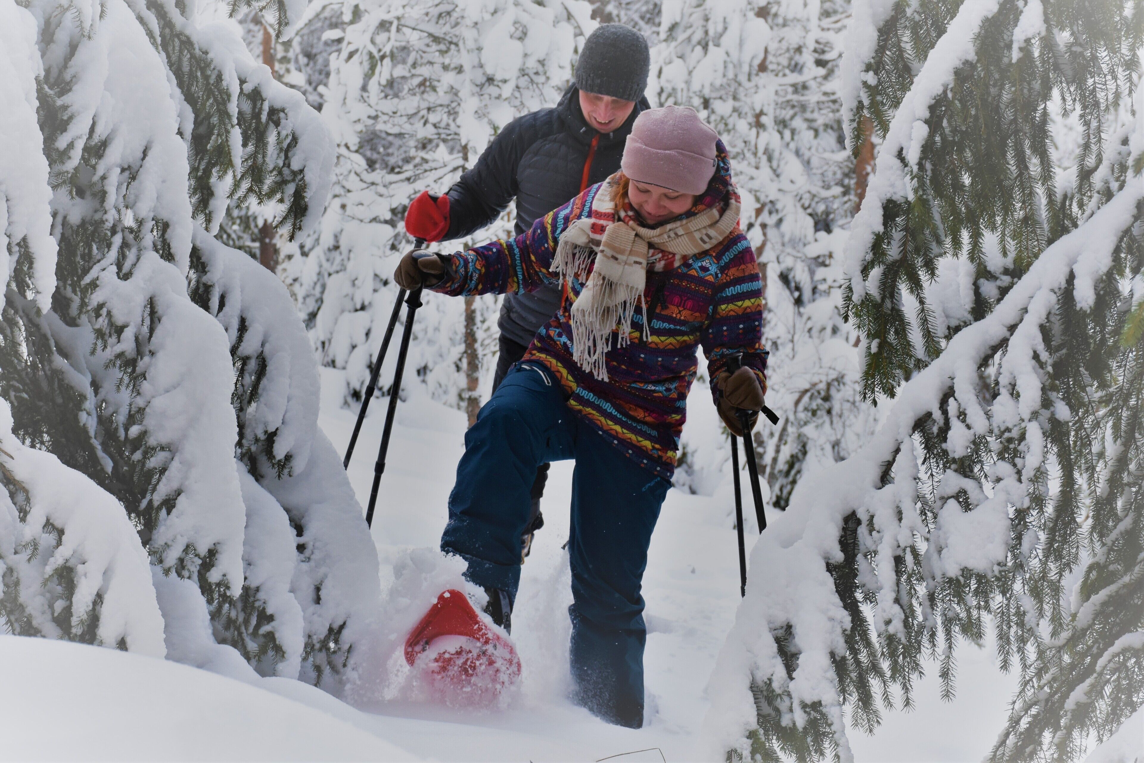 A person skiing down a snowy slope with trees on either side.