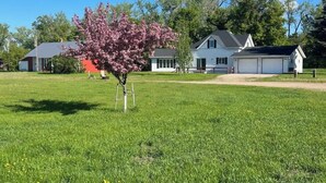 Zona residencial con una casa blanca que tiene garaje, césped con un árbol en flor y un cielo azul despejado.