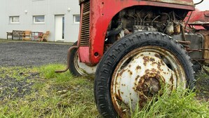 Uklassifisert bilde, 5 av 40, knapp
