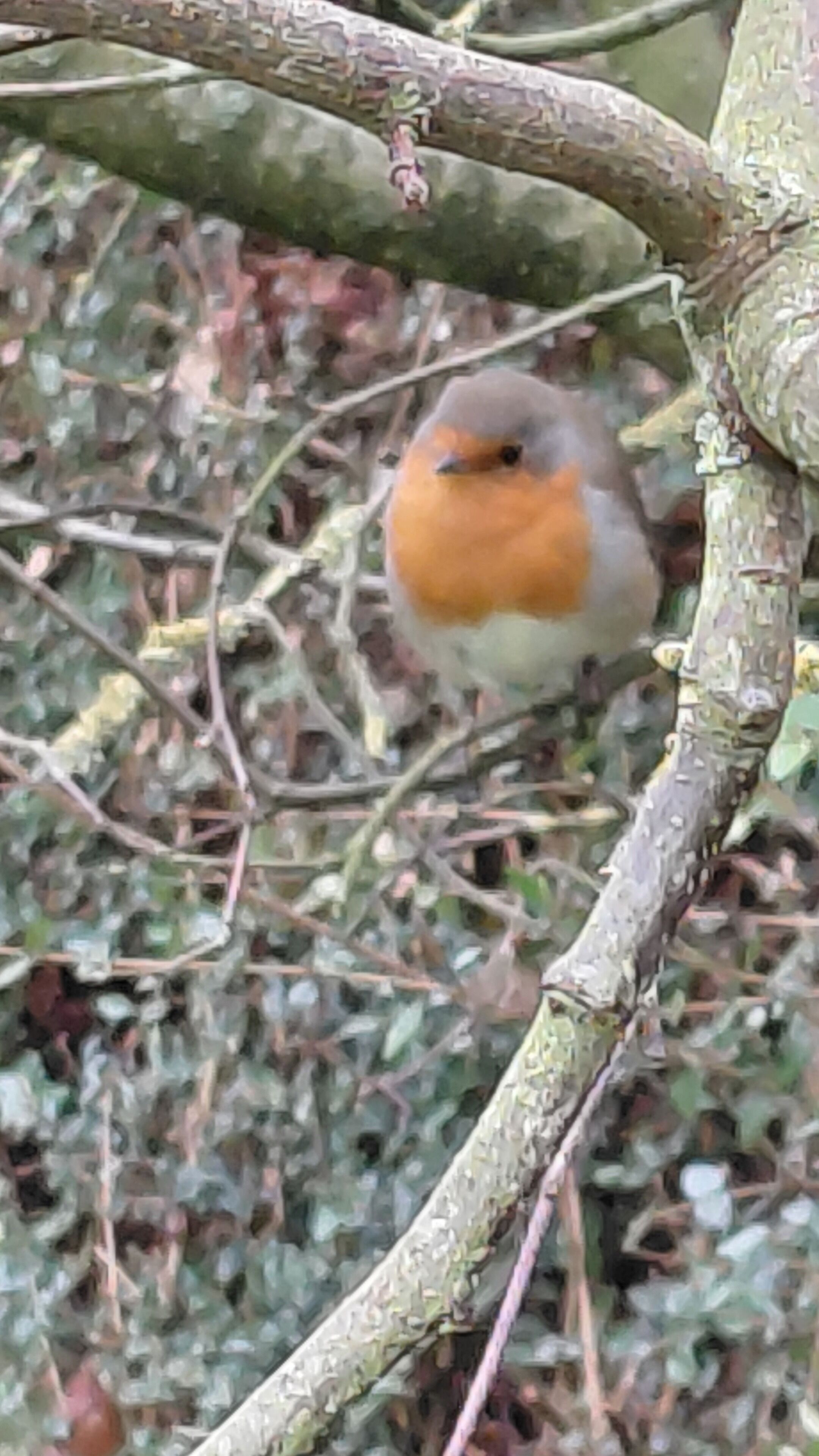 A bird perched on a branch.