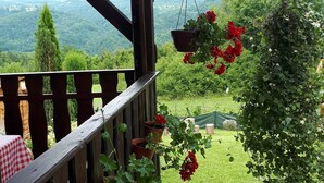 Un balcon en bois orné de géraniums en pot, offrant une vue sur un paysage verdoyant et luxuriant.