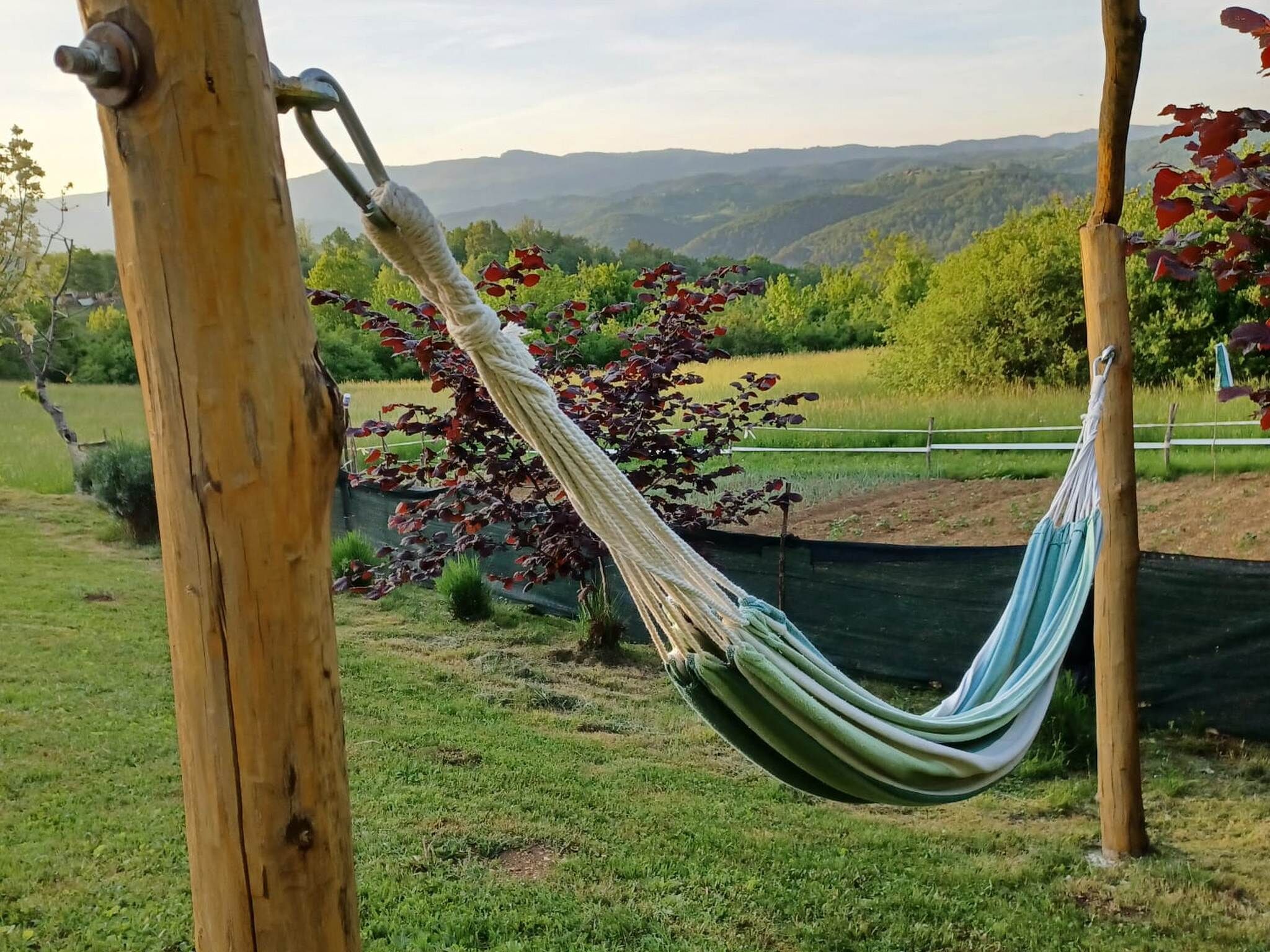 Een hangmat, opgehangen tussen houten palen, in een grasrijke omgeving met uitzicht op een boom en verre heuvels.