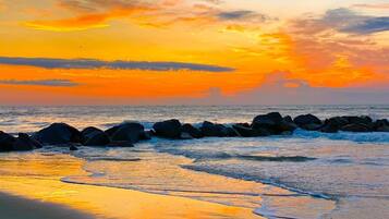 Plage à proximité, chaises longues, serviettes de plage