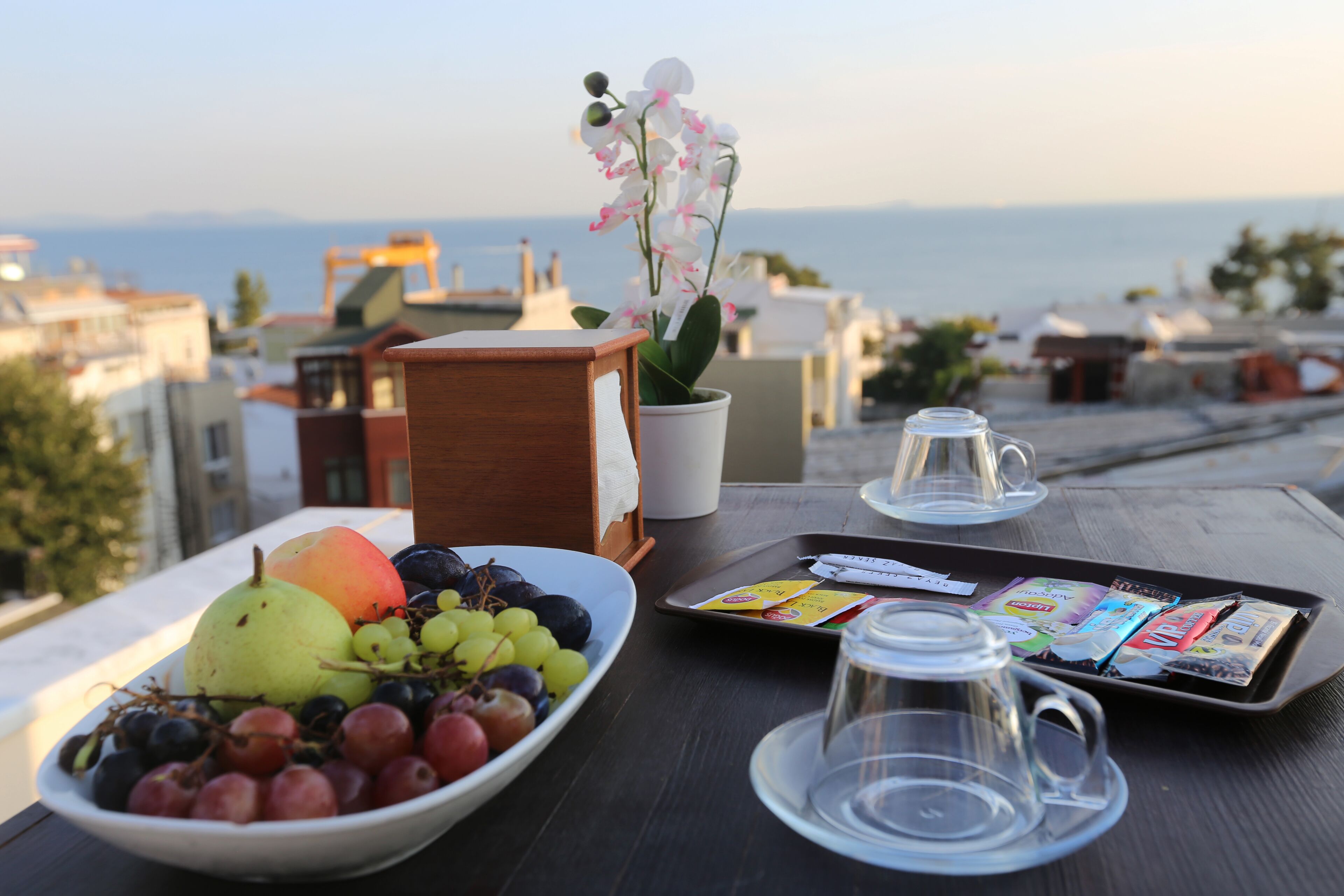 A table with a fruit bowl, a potted orchid, a tray of magazines, and a glass pitcher on a terrace overlooking a cityscape.