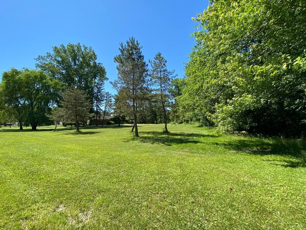A grassy park area with trees and a clear blue sky. - The Sanctuary On Huron River (Flat Rock)