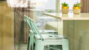 A modern kitchen with a glass partition, a white countertop, and two potted plants on the counter.