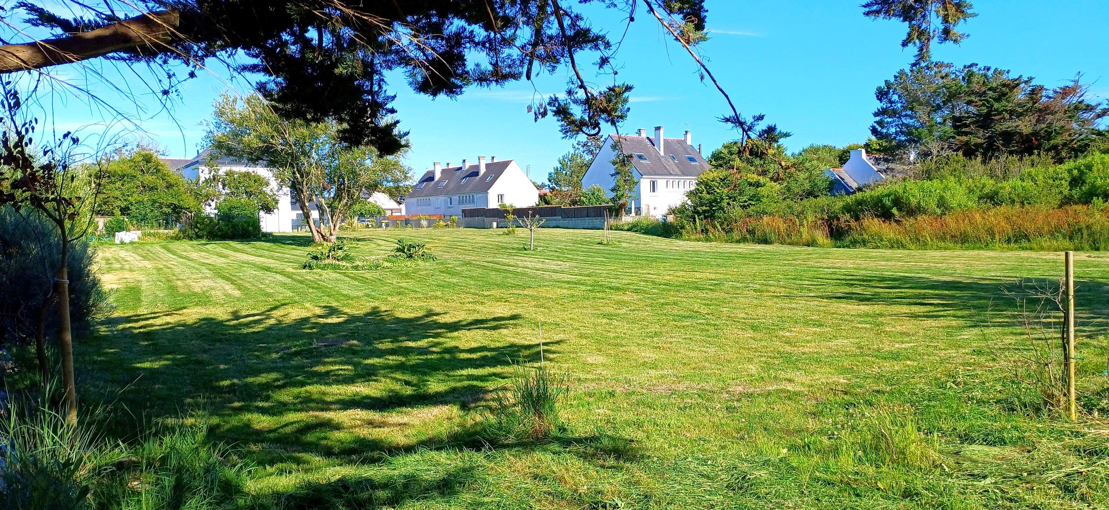 A well-maintained grassy lawn with a few trees and a row of houses in the background.