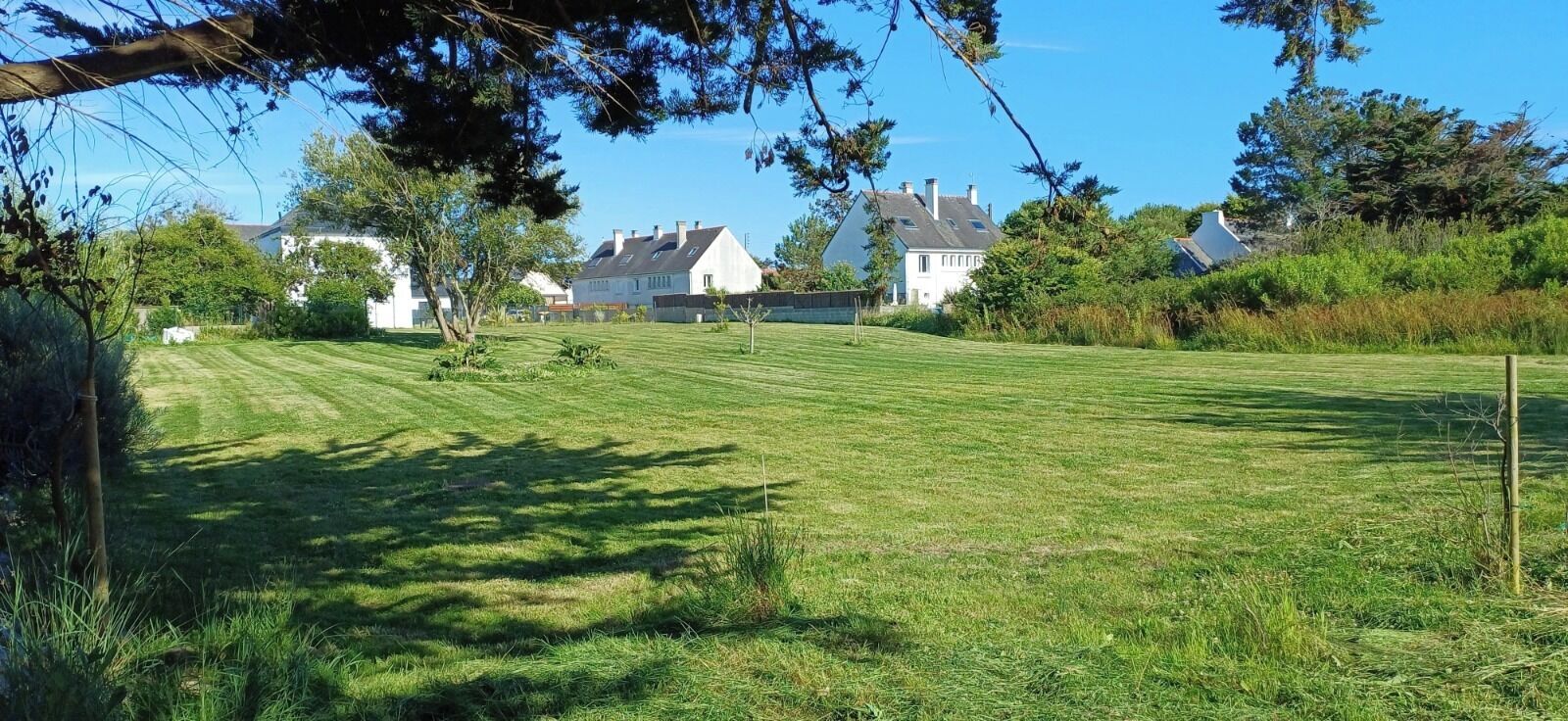 A grassy field with a clear sky, surrounded by trees and houses in the background.