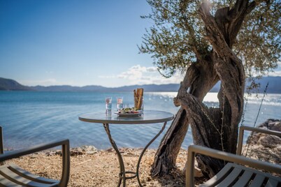 Seafront Away-from-it-all Stone House in Sunset Olive Grove