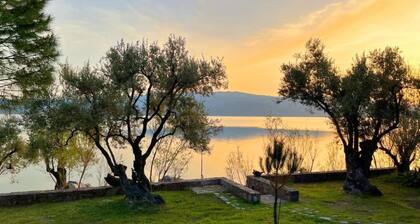 Waterfront Luxury Stone-built 72sqm Villa in Olive Grove