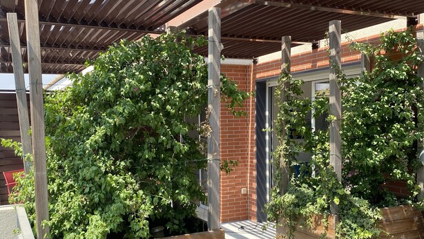 Un'area salotto esterna con una pergola, fioriere in legno con piante verdi e un muro in mattoni sullo sfondo.