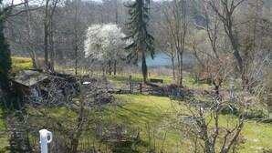 A rural landscape with a small house surrounded by trees and a lake in the background. - Idyllic location on the Wennsee and 10 min walk to the beach with beautiful garden. (Scharbeutz)