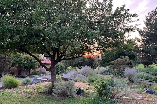 Looking down from waterfall to pond