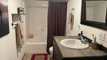 Combined shower/tub, hair dryer