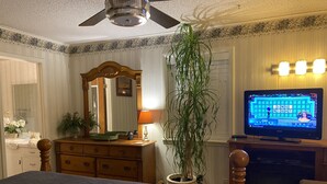 A bedroom with a bed, dresser, mirror, potted plant, television, and fireplace. - Robins Nest "The Best Nest In Town"  Newly Remodeled Master Bath. (Murfreesboro)