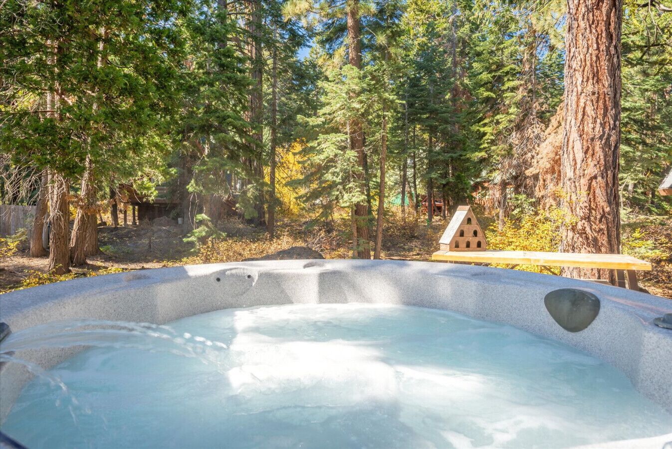A hot tub surrounded by a forest with tall trees and a wooden structure in the background.