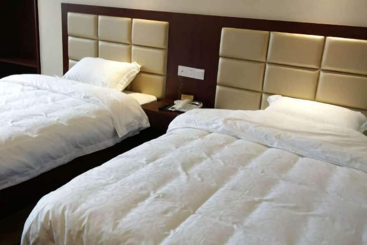 Hotelkamer met twee bedden, een houten hoofdbord, een nachtkastje met telefoon en een stopcontact.
