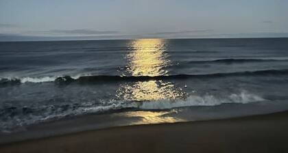 Oceanfront Cottage, S Nags Pet Friendly! MP19