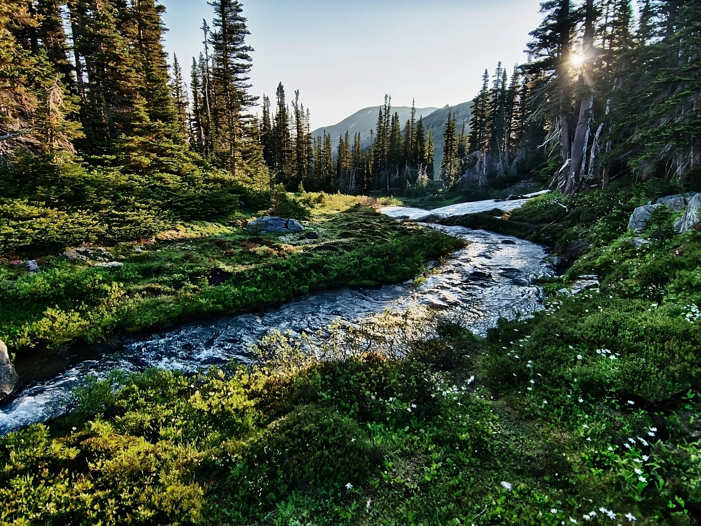 Budgetfriendly at GuestHouse Poulsbo! Petfriendly, Free Parking, Poulsbo, WA