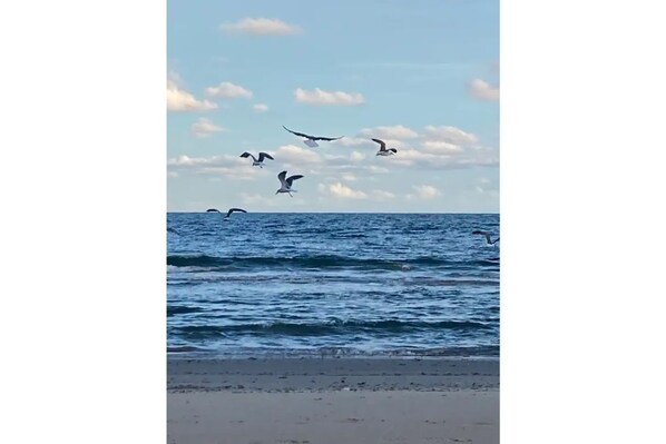 Beach nearby, sun loungers, beach towels