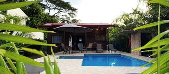 Whale Melody Marabi Bahia whale