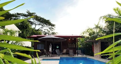 Whale Melody Marabi Bahia whale