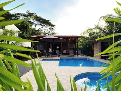 Whale Melody Marabi Bahia whale