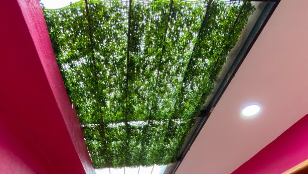 Un couloir aux murs roses, un bureau en bois, une chaise colorée et un plafond orné de motifs de feuillage vert.