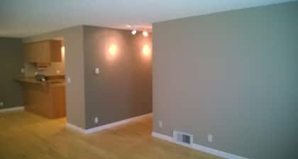 1 Bed Apartment