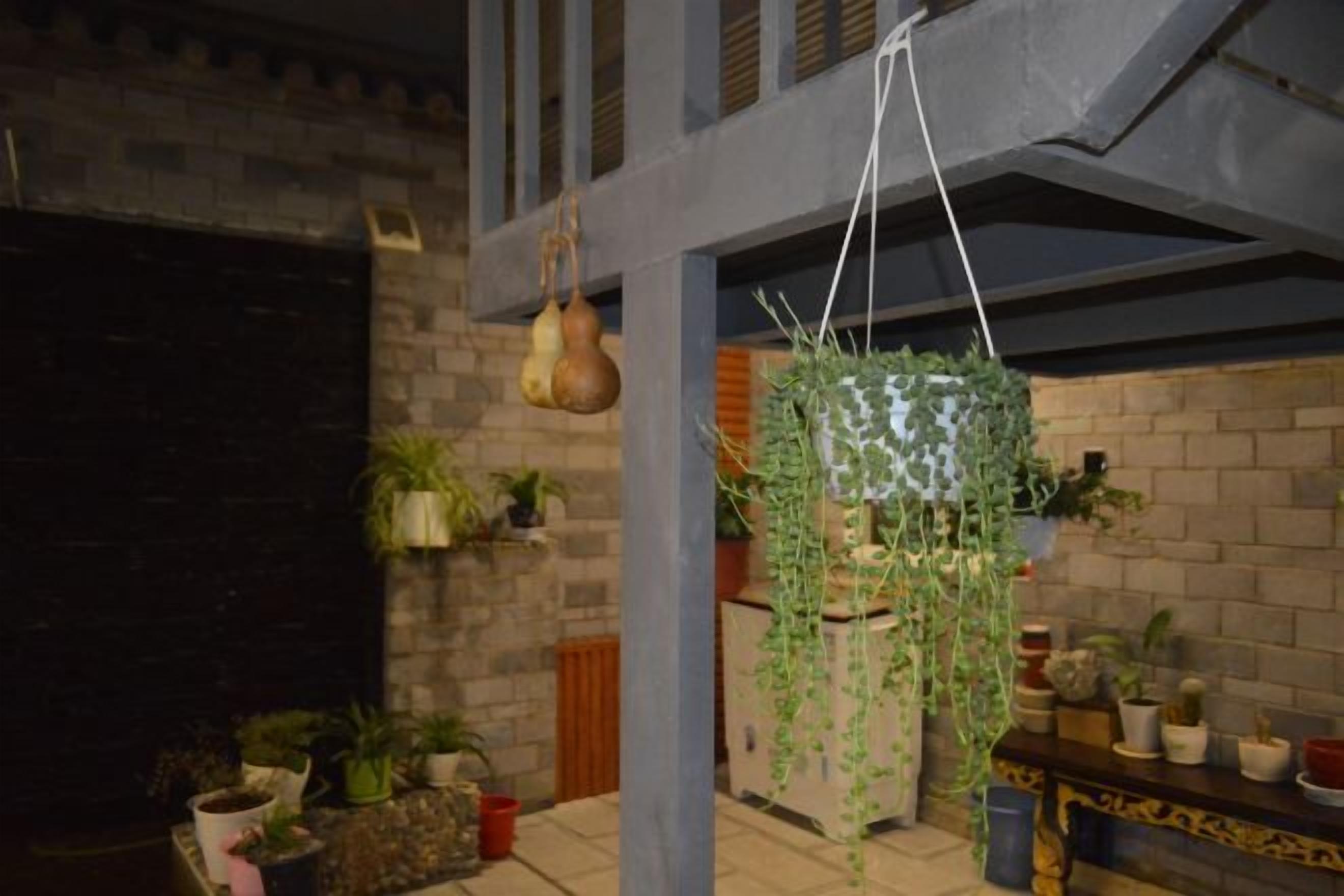 Una habitación con plantas colgantes, una pared de ladrillo y un estante de madera con plantas en macetas.