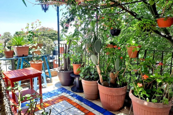 Hermosa terraza verde
