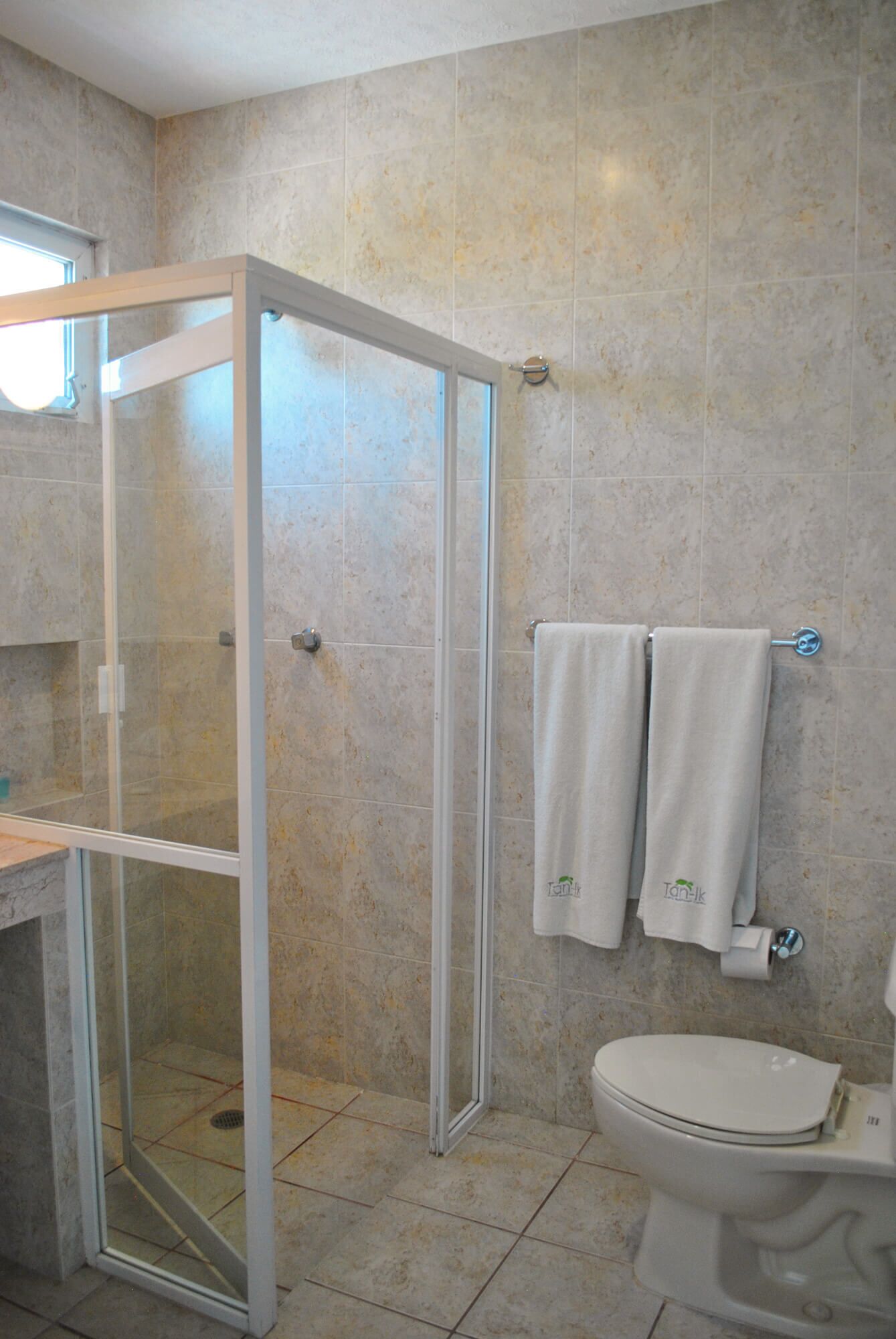 A bathroom with a glass-enclosed shower, a toilet, and two towels hanging on a rack.