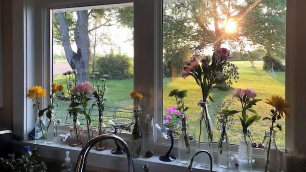 A kitchen with a window sill displaying various potted plants and flowers.