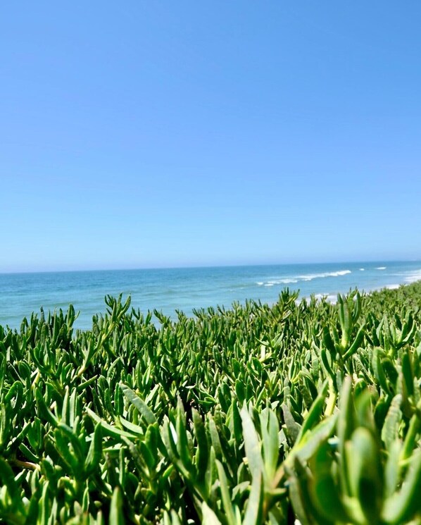 Beach nearby