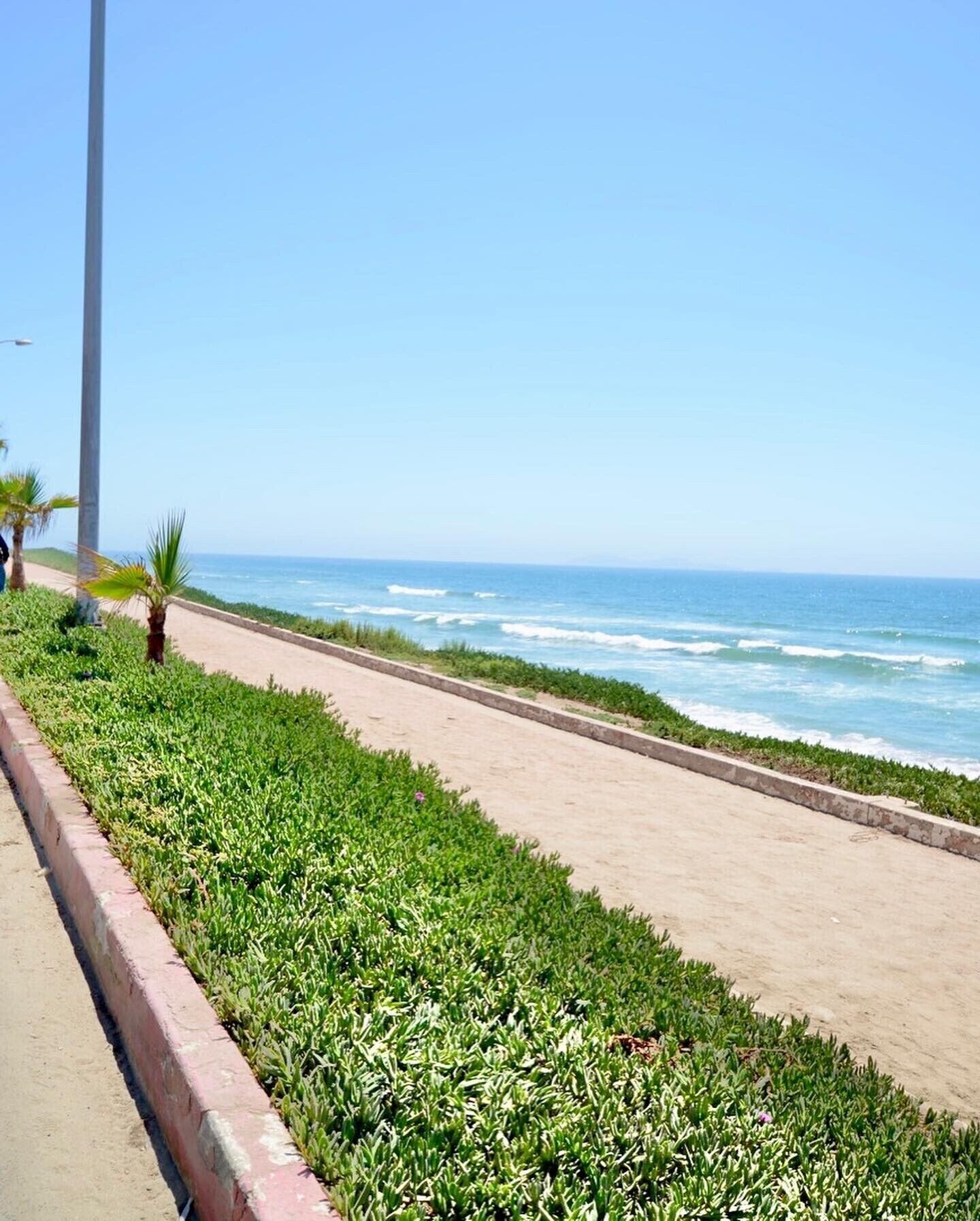 Une promenade en bord de mer avec un sentier sablonneux, une végétation luxuriante et une vue sur l’océan.
