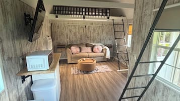 Smart TV, chimenea, reproductor de DVD y libros