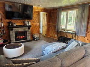 Smart TV, chimenea, reproductor de DVD y libros 