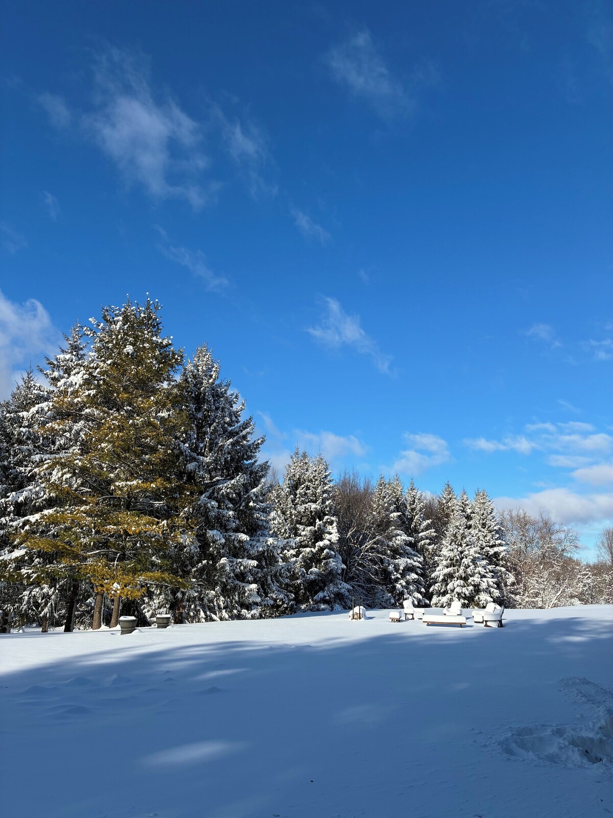 Værtens profilbillede