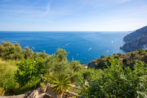 施設からの眺望