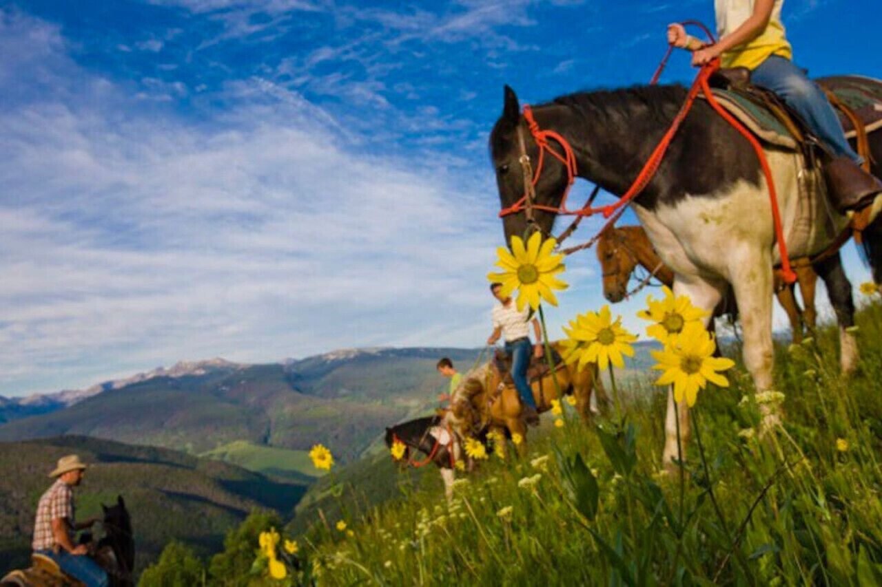 A person riding a horse on a grassy hill with yellow flowers and a mountainous landscape in the background.