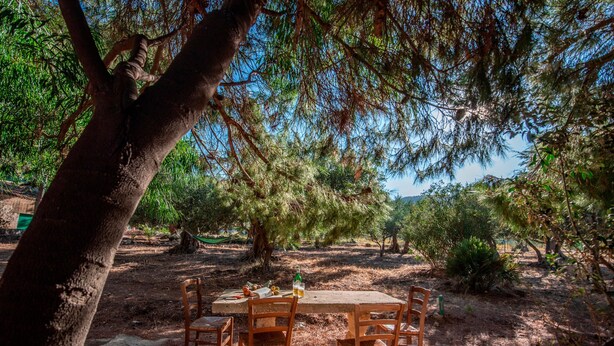 A rustic outdoor dining area with a concrete table and wooden chairs, surrounded by trees and natural scenery.