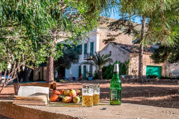 A table with a book, two glasses of beer, and a bottle of beer, with a building and trees in the background.