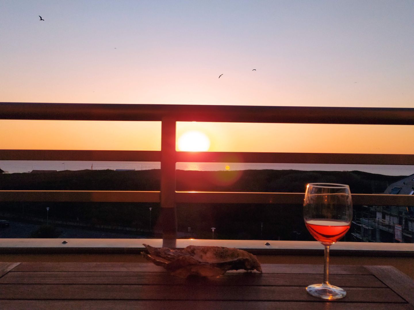 A sunset view from a balcony with a glass of red wine and a bird on the table.